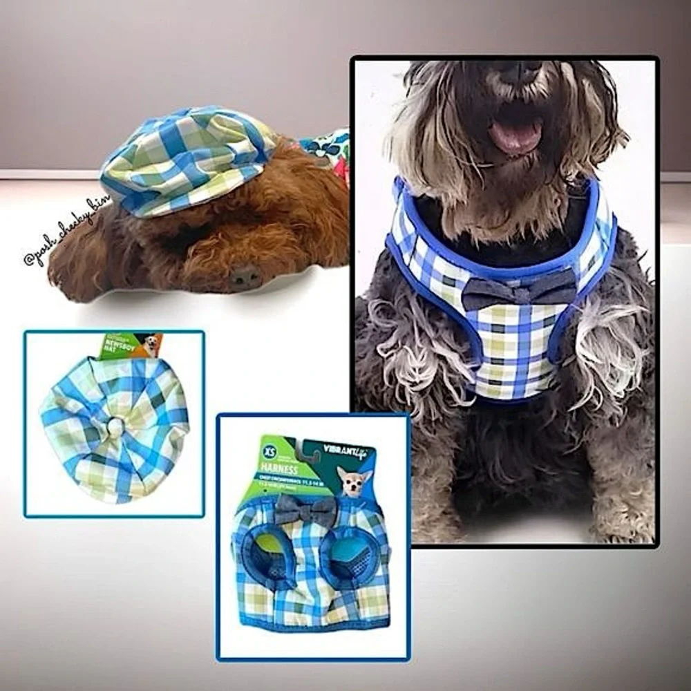 Vibrant Life Dog Plaid Bow Tie Harness